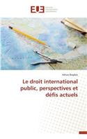 Le Droit International Public, Perspectives Et D�fis Actuels: (Omn.Univ.Europ.)