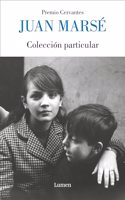 Coleccion particular: Prologo de Ignacio Echevarria