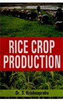Rice crop production