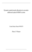Dynamic spatial-mode allocation in an under-addressed optical MIMO system