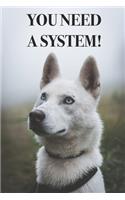 You Need A System!