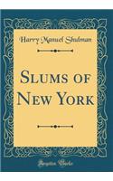 Slums of New York (Classic Reprint)