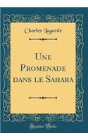 Une Promenade Dans Le Sahara (Classic Reprint)