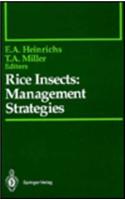 Rice Insects