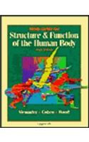 Structure and Function of the Human Body