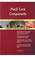 iPaaS Core Components A Complete Guide