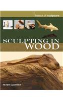 Sculpting in Wood