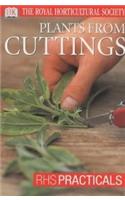 Cuttings: (RHS Practicals)