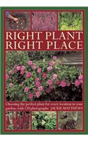 Right Plant Right Place