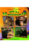 What Is A Mammal