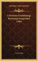 A Szuleszno Gondatlansaga Buntetojogi Szempontbol (1904)