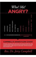 Who? ME! Angry?: (English)