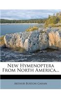 New Hymenoptera from North America...