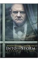 Into the Storm