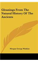 Gleanings From The Natural History Of The Ancients