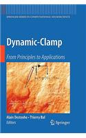 Dynamic-Clamp