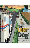 "Lost" Dog