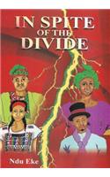 In Spite of the Divide