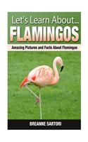 Flamingos: Amazing Pictures and Facts about Flamingos