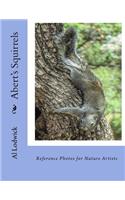 Abert's Squirrels