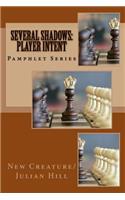 Several Shadows: Player Intent: Pamphlet Series