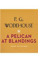 Pelican at Blandings