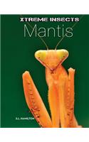 Mantis