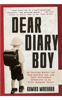 Dear Diary Boy