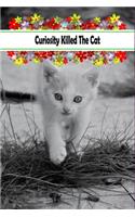 Curiosity Killed The Cat