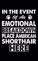 In The Event Emotional Breakdown Place American Shorthair Here