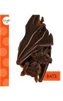 Bats