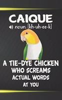 Caique A Tie-Dye Chicken Who Screams Actual Words At You Notebook Journal: 110 Dotted Blank Pages 6x9 Personalized Customized Gift For Caique Parrot Bird Owners and Lovers