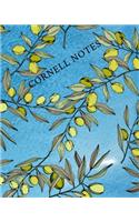 Cornell Notes