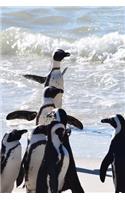 Penguins at the Seashore Journal