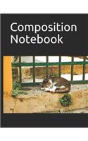 Composition Notebook: Composition Notebook 100 Pages Measures 8.5 X 11