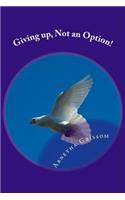 Giving up, Not an Option!: Seeing God through New Lenses