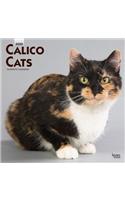 Calico Cats 2020 Square Wall Calendar