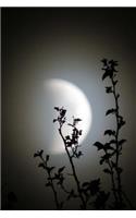 A Lunar Eclipse Journal