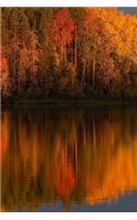 Autumn Forest Banks of a River Journal: 150 Lined Pages, Softcover, 6 X 9