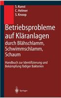 Betriebsprobleme Auf Kläranlagen Durch Blähschlamm, Schwimmschlamm, Schaum