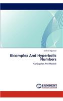 Bicomplex And Hyperbolic Numbers