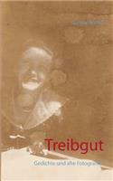 Treibgut