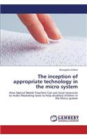 The Inception of Appropriate Technology in the Micro System