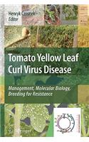 Tomato Yellow Leaf Curl Virus Disease