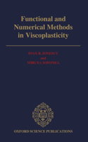 Functional and Numerical Methods in Viscoplasticity