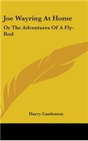 Joe Wayring At Home: Or The Adventures Of A Fly-Rod