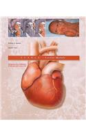 S.T.A.B.L.E. Cardiac Module: Recognition and Stabilization of Neonates with Severe CHD