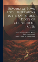 Remarks on Some Fossil Impressions in the Sandstone Rocks of Connecticut River