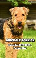 Airedale Terrier Calendar 2019-2020 - Pocket Size