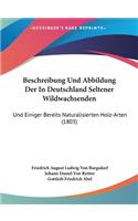 Beschreibung Und Abbildung Der in Deutschland Seltener Wildwachsenden